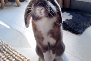 Richy_featured_image