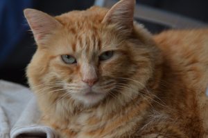 MARTIN_featured_image