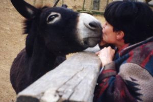 Chauve_featured_image