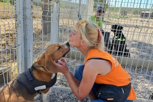 BECOURT_featured_image