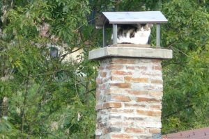 Didier - de Zutter_featured_image