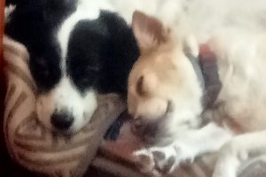 SANNIER_featured_image