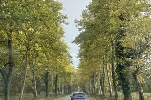 Canaparo Garcia_featured_image