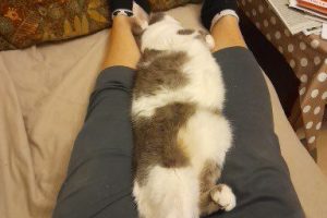 ducruet_featured_image