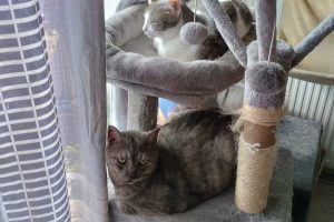 Reboursier_featured_image