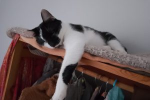 Gallouedec_featured_image