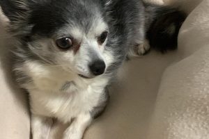 Rousseau_featured_image