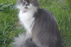 APRIL_featured_image