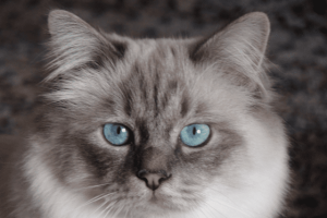 Donald_featured_image